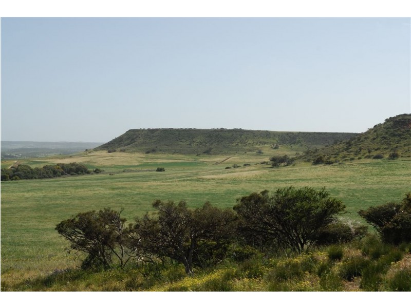 1494 Chapman Valley Road, Narra Tarra WA 6532