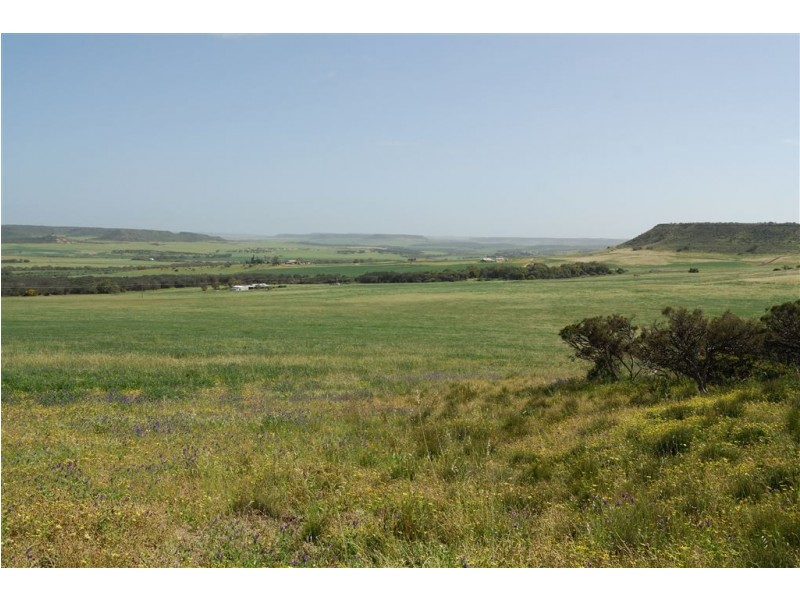 1494 Chapman Valley Road, Narra Tarra WA 6532