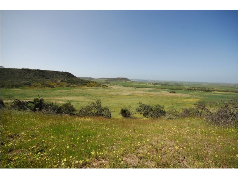 1494 Chapman Valley Road, Narra Tarra WA 6532