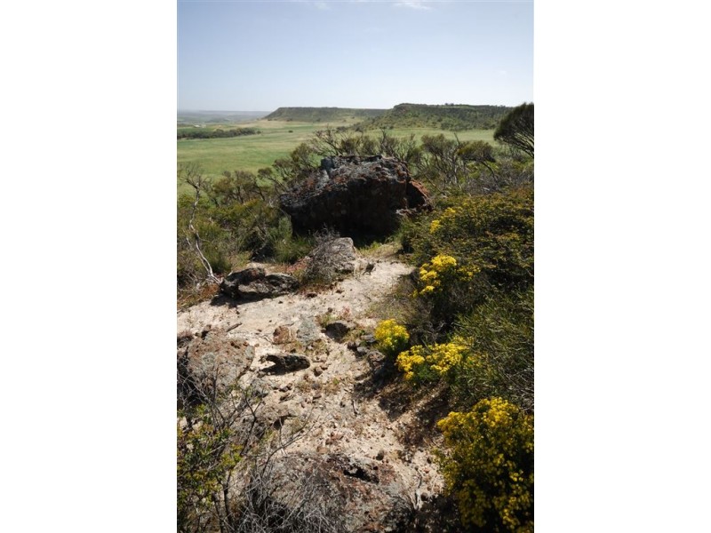 1494 Chapman Valley Road, Narra Tarra WA 6532