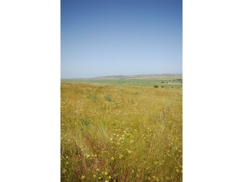 1494 Chapman Valley Road, Narra Tarra WA 6532