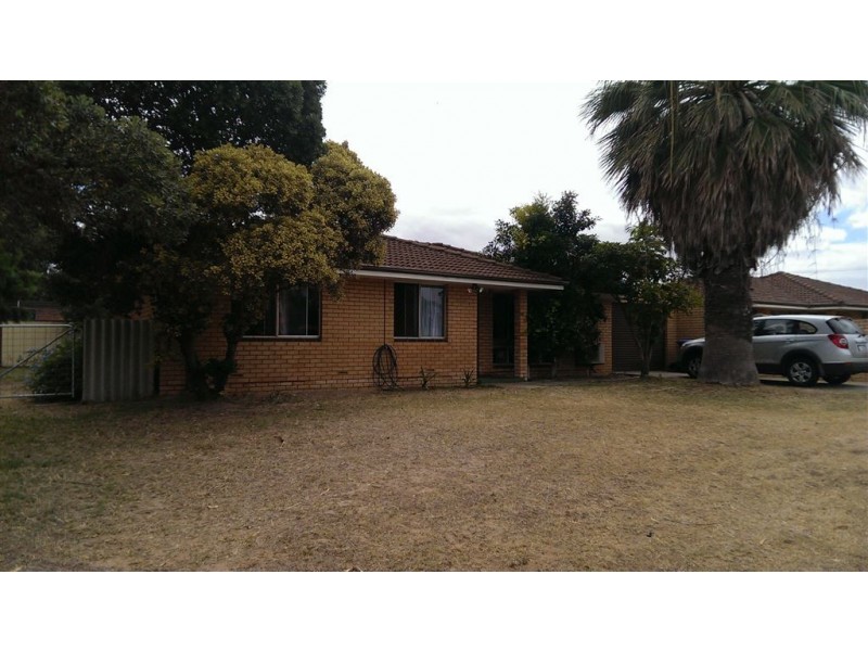 41b Newman Street, Spalding WA 6530
