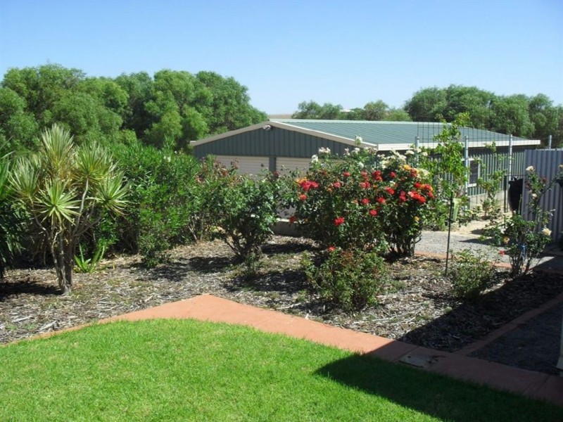 57 Calder Place, Waggrakine WA 6530