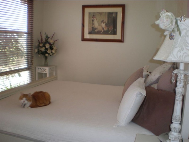 87 Townsend Road, Whittington VIC 3219