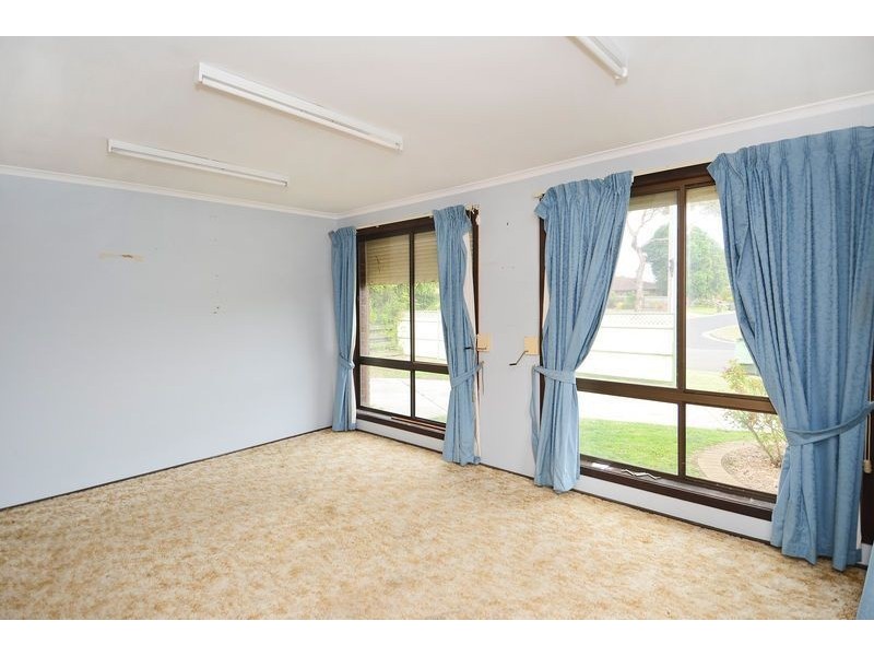 19 Hereford Drive, Belmont VIC 3216