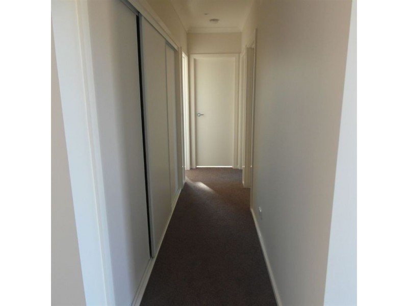 3/1 Pitman Street, Newcomb VIC 3219