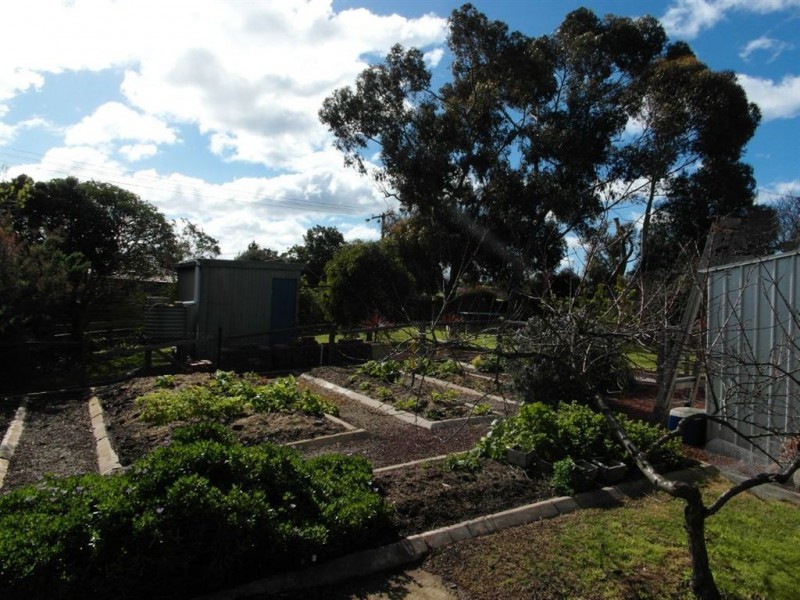 23 Cresta Crescent, Leopold VIC 3224