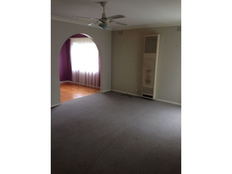 14 Grayling Street, Belmont VIC 3216