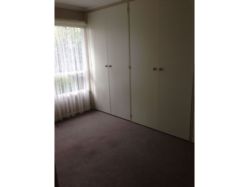 14 Grayling Street, Belmont VIC 3216