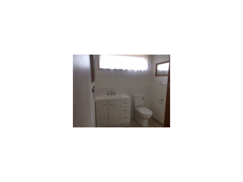 14 Grayling Street, Belmont VIC 3216