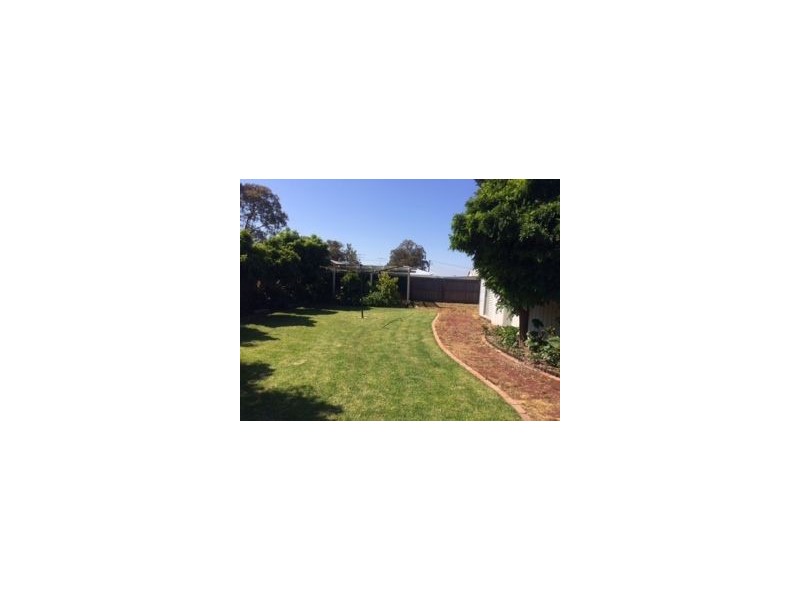 14 Grayling Street, Belmont VIC 3216