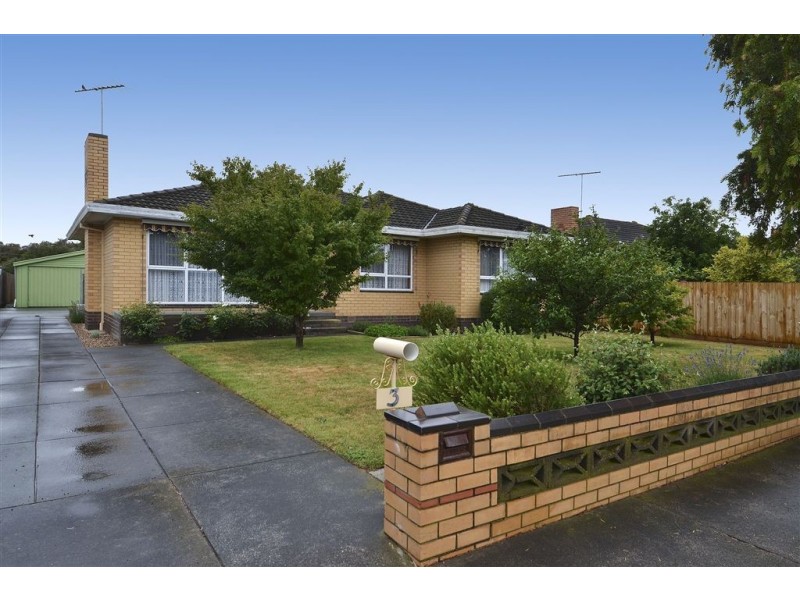 3 Anthony Street, Newcomb VIC 3219