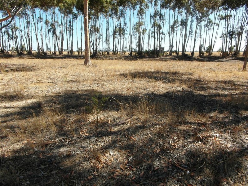 57 Bakers Lane, Teesdale VIC 3328