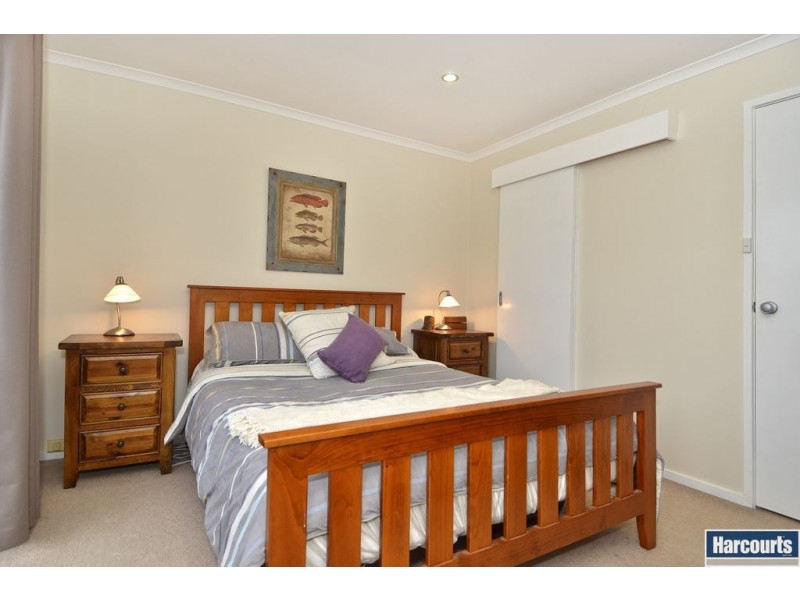 12 Waurnvale Drive, Belmont VIC 3216