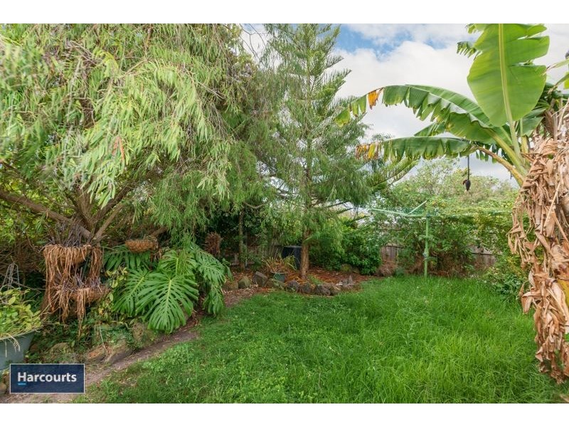 13 Gibbs Street, Newcomb VIC 3219