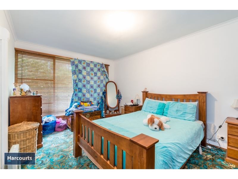 60 Neptune Avenue, Newcomb VIC 3219