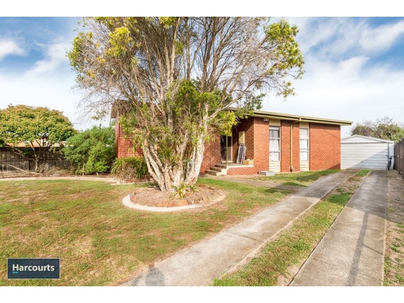 41 Hibiscus Crescent, Newcomb VIC 3219