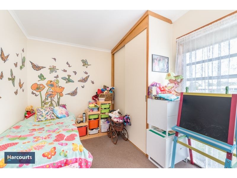 41 Hibiscus Crescent, Newcomb VIC 3219