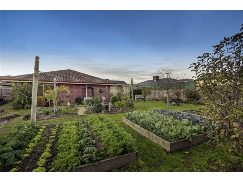 30 Bayfield Court, Newcomb VIC 3219