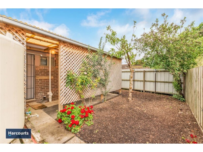 5/17 Truscott Street, Whittington VIC 3219