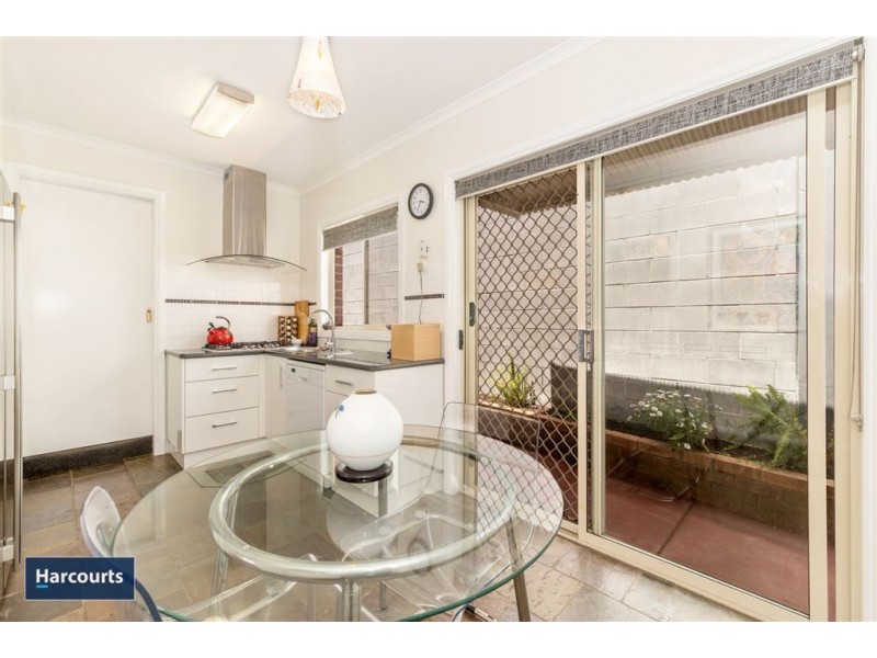 16 Pescott Street, Newtown VIC 3220