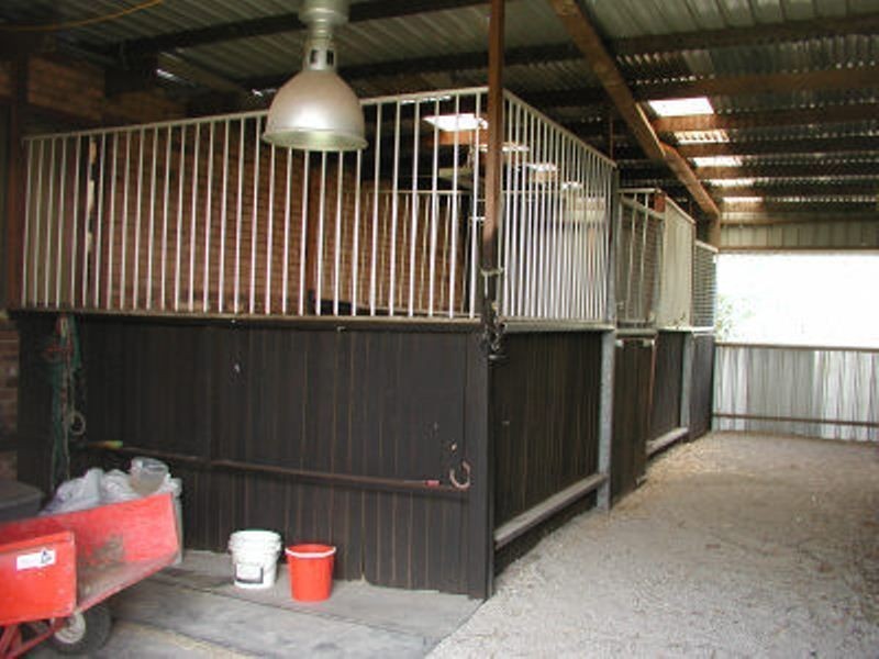 163 Mitchell Drive, Glossodia NSW 2756