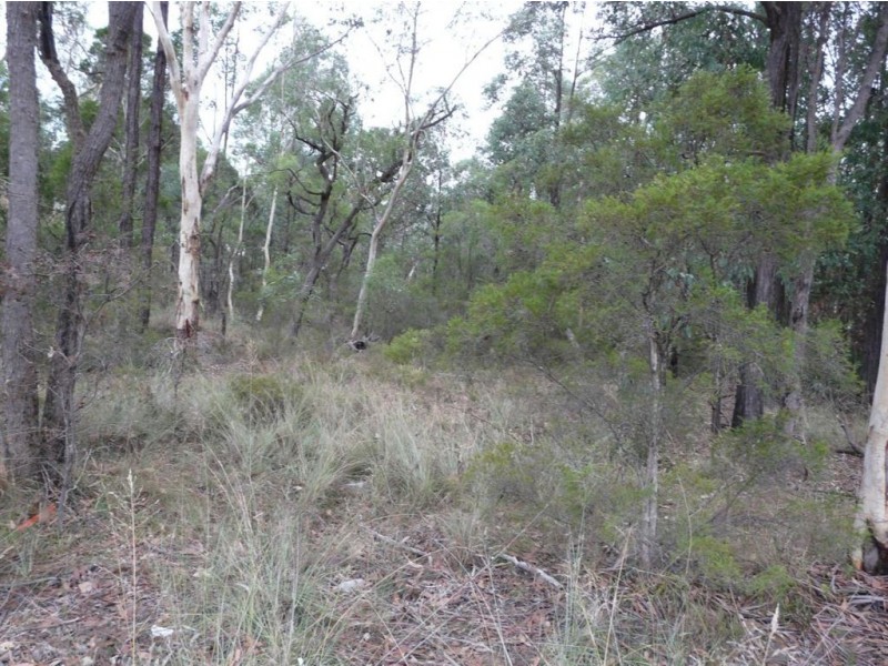 637 Londonderry Road, Londonderry NSW 2753