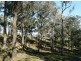 Lot 1, 73 Kurmond Road, Wilberforce NSW 2756