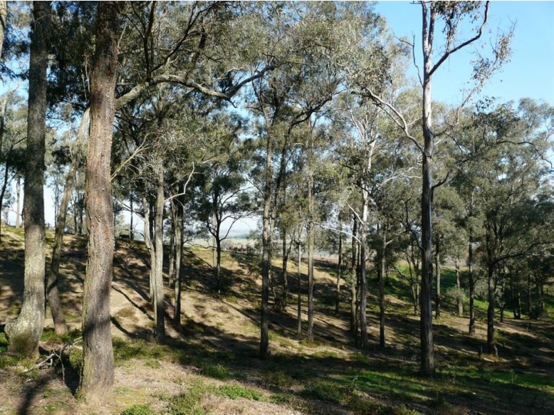 Lot 1, 73 Kurmond Road, Wilberforce NSW 2756