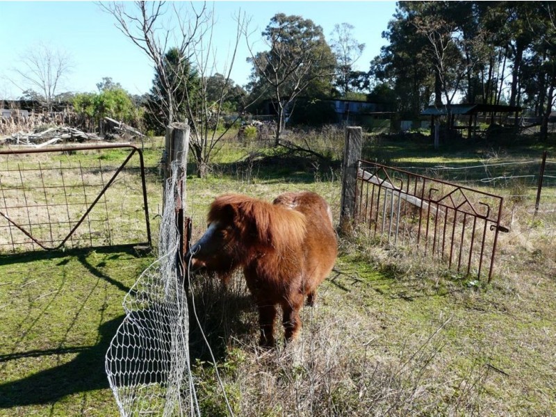 59-61 Kenmare Road, Londonderry NSW 2753