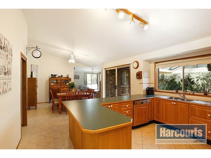 24 Dorrington Crescent, Bligh Park NSW 2756
