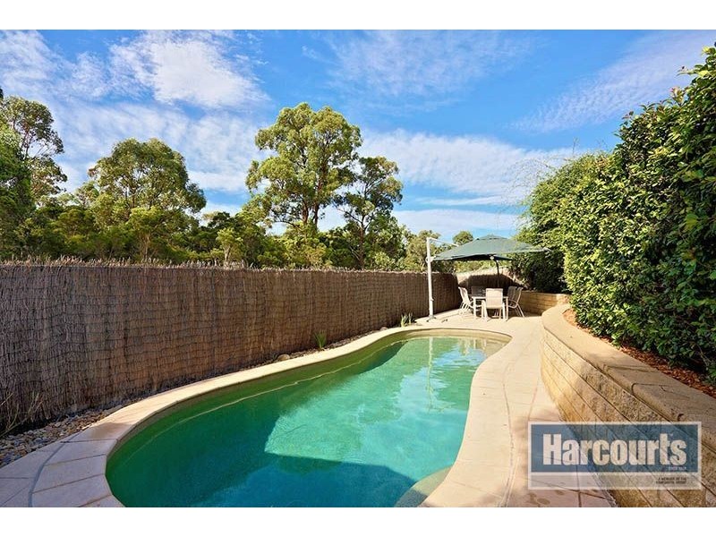 24 Dorrington Crescent, Bligh Park NSW 2756