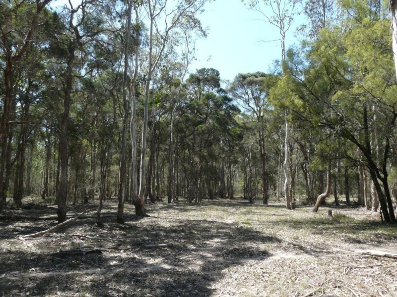 149-155 Carrington Road, Londonderry NSW 2753