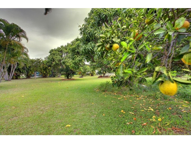 17 Yarran Court, Nome QLD 4816