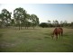 55 Alligator Creek Road, Alligator Creek QLD 4816