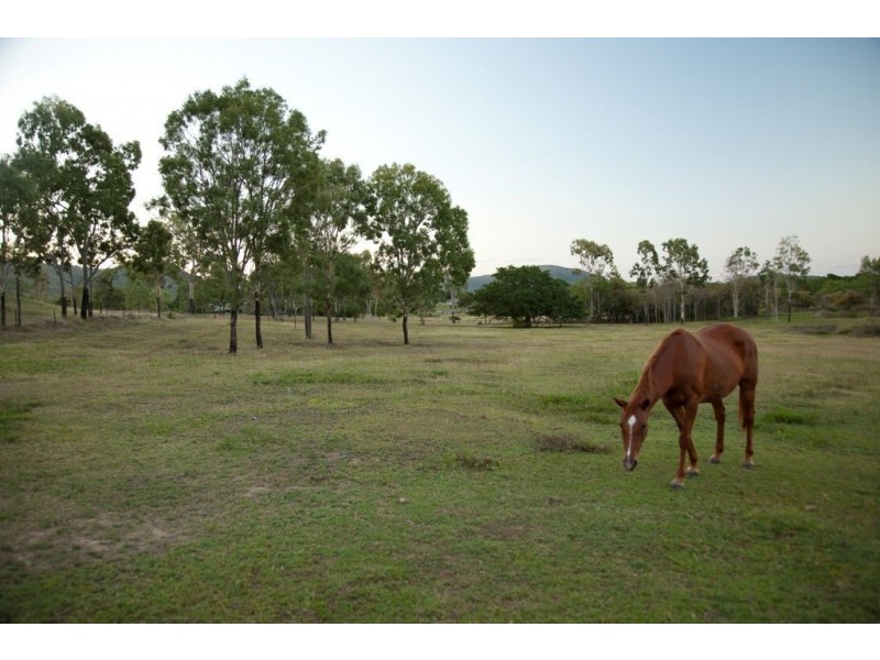 55 Alligator Creek Road, Alligator Creek QLD 4816