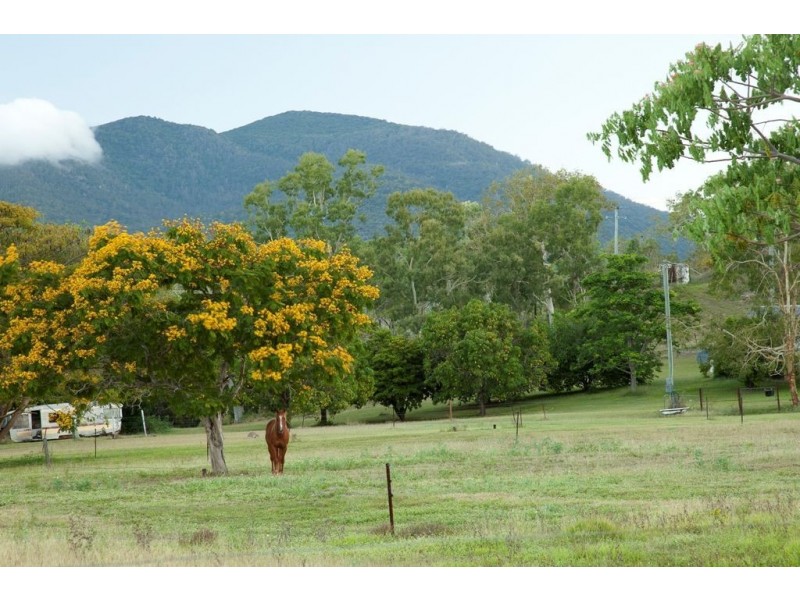 55 Alligator Creek Road, Alligator Creek QLD 4816