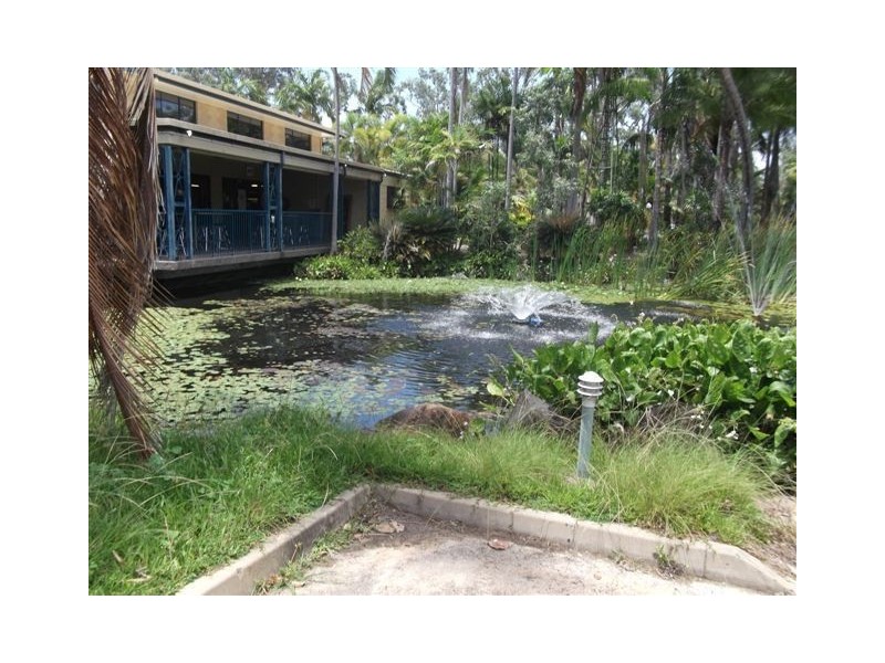 1/1 Livistonia Close, Bushland Beach QLD 4818