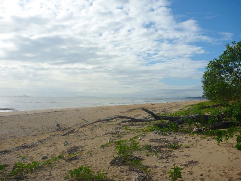 17 Borton Street, Balgal Beach QLD 4816