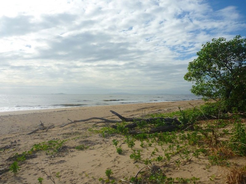 67 Augusta Drive, Balgal Beach QLD 4816