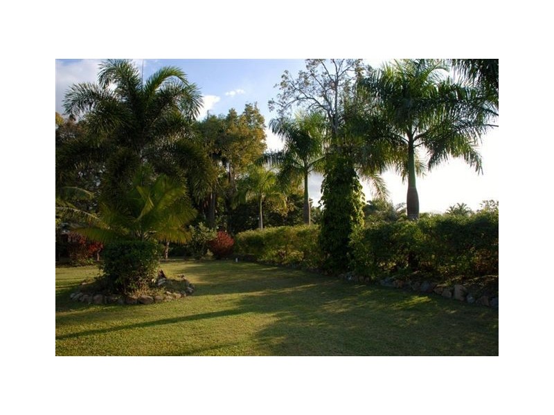 386 Forestry Road, Bluewater Park QLD 4818