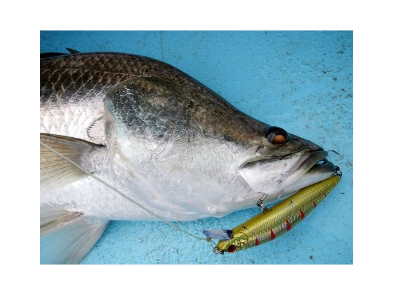 Lot 8 Beach Court, Balgal Beach QLD 4816