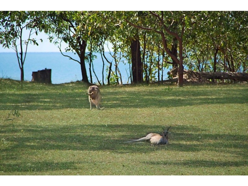 7-8 Fitzpatrick Court, Balgal Beach QLD 4816