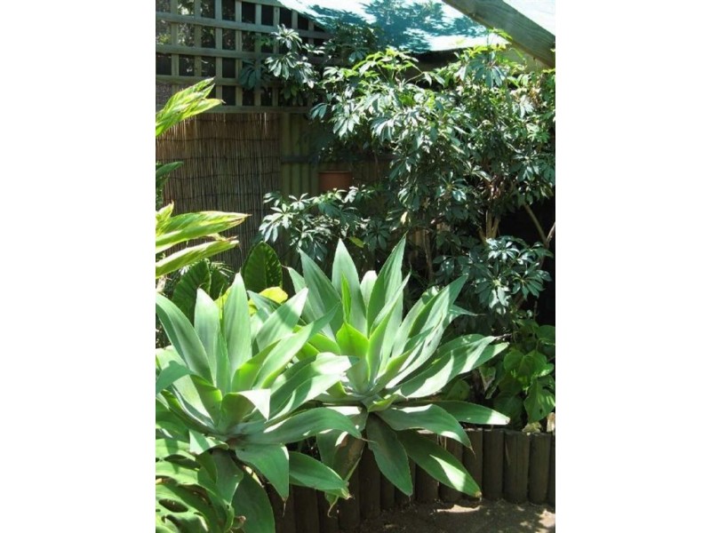 8 High Street, Willaston SA 5118