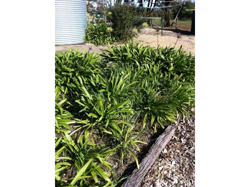 14 Glover Road, Two Wells SA 5501