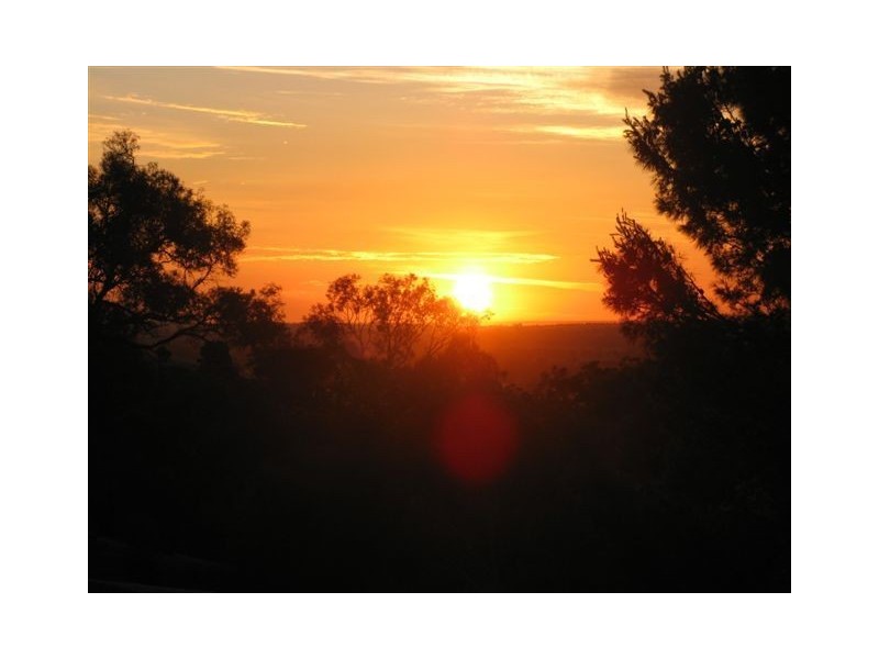 14 Davey Crescent, Angaston SA 5353