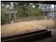 55 Chamberlain Road, Willaston SA 5118