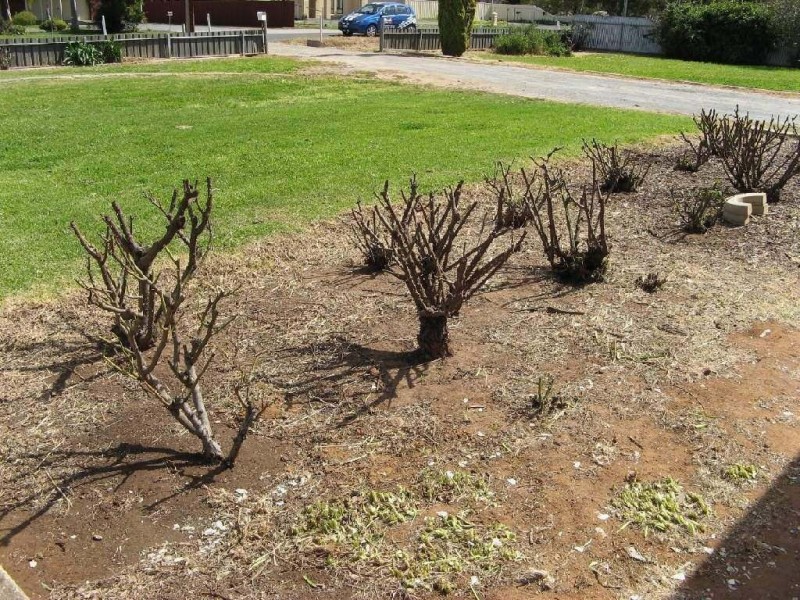 20 Bubner Road, Angle Vale SA 5117