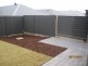 19 Salmon Gum Crescent, Blakeview SA 5114