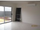 19 Salmon Gum Crescent, Blakeview SA 5114